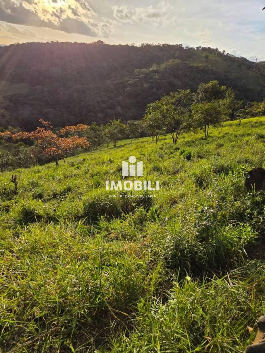 Fazenda à Venda em São José da Laje - Centro