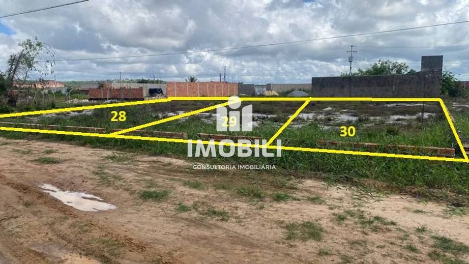 Terreno à venda, 360 m² - Loteamento Trevo do Francês