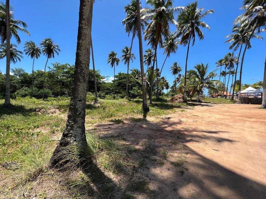 Beira Mar da Praia de Guaxuma 